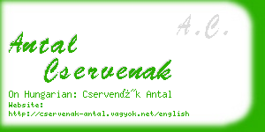 antal cservenak business card